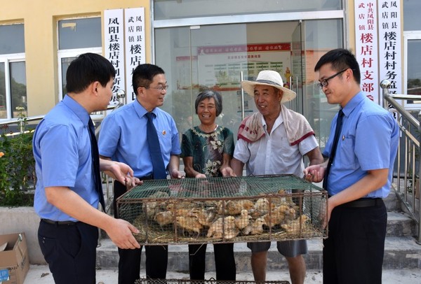 为贫困户送鸡苗1.郝万婷 摄.jpg