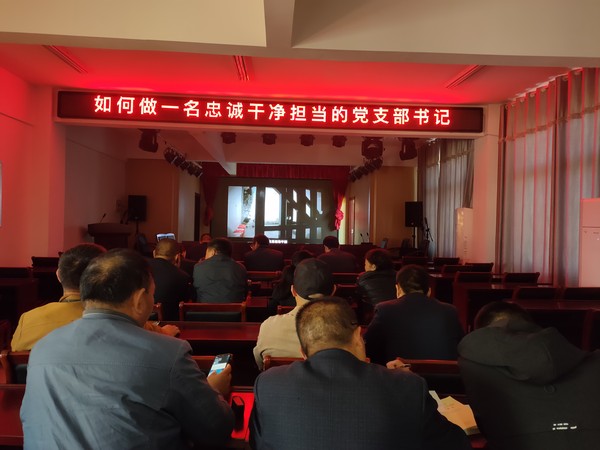 西泉镇纪委书记上党课.JPG