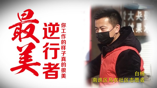 白杨_副本.jpg